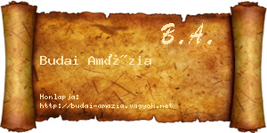 Budai Amázia névjegykártya